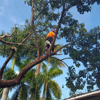 tree-trimming-sq